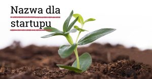 Nazwa dla startupu. Który rodzaj nazwy wybrać?