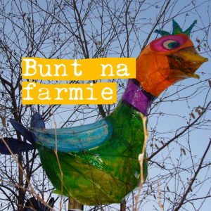 Bunt na farmie! Czy finezyjne nazwy jaj robią nas w jajo?