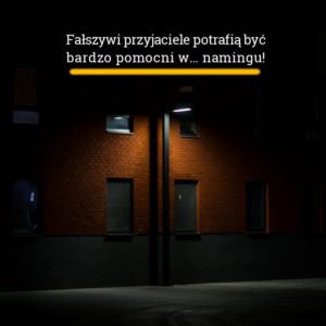 wyrazy identyczne w pisowni, pochodzeniu i znaczeniu (lecz niekoniecznie w wymowie) do języka angielskiego np. bank, pilot, saga, moment, arena, park, system, zero, transport.