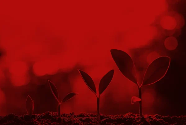 Jak powstała nazwa Biovana?