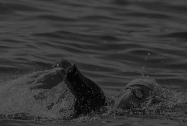 Jak powstała nazwa Immabee?