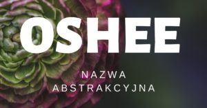 Oshee nazwa abstrakcyjna – Syllabuzz.pl Naming+Strategia