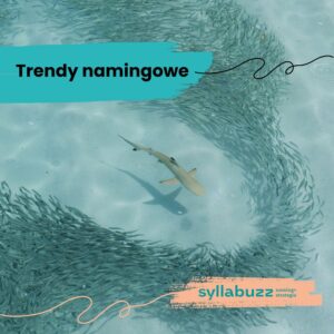 Trendy namigowe, Konrad Gurdak, Syllabuzz.pl Naming+Strategia