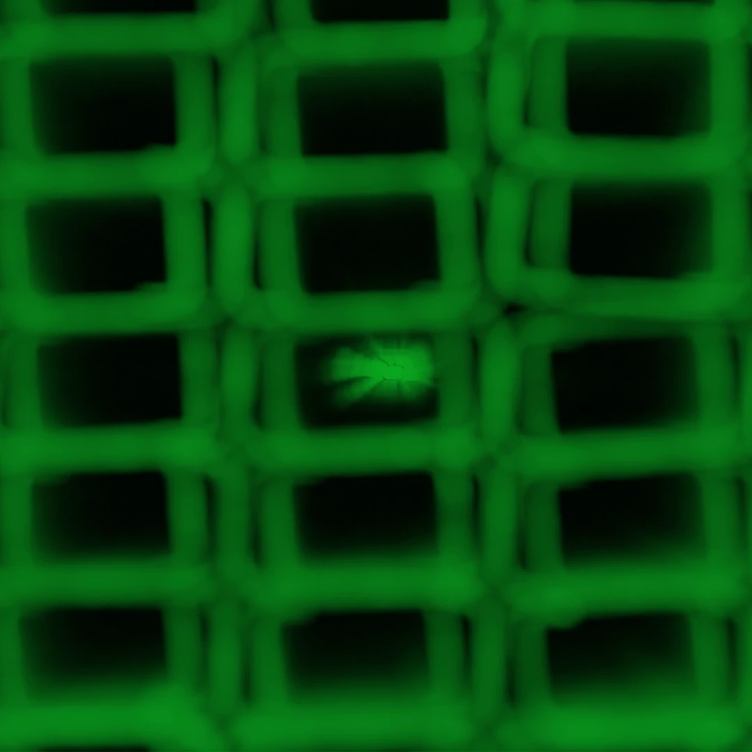 Jak powstała nazwa Galver?